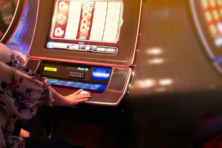 bewin Cómo y por qué se formó bewin